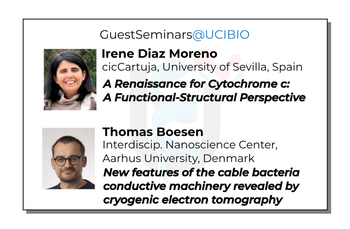 irene diaz thomas boesen