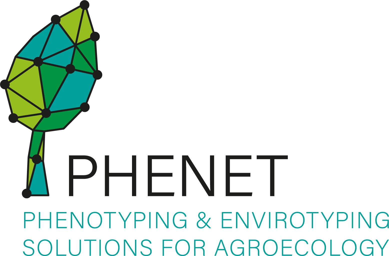 phenet