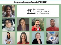 projectos exploratórios