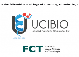 8 phd fellowships