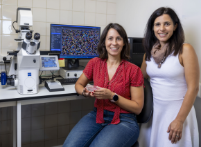 Susana Palam & Cecília Roque at the microscope