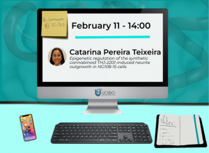 catarina pereira teixeira