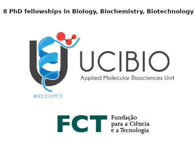 8 phd fellowships