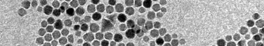 Bioengineering